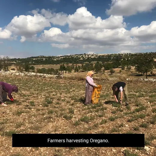 Frontier Co-op Fancy-Grade Oregano, Cut & Sifted, Organic 1 lb.