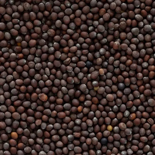 Frontier Co-op Brown Mustard Seed, Whole, Organic 1 lb.